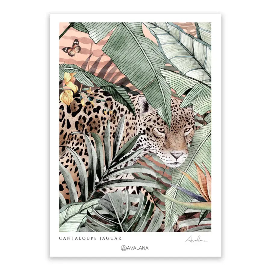 Avalana Cantaloupe Jaguar Art Print