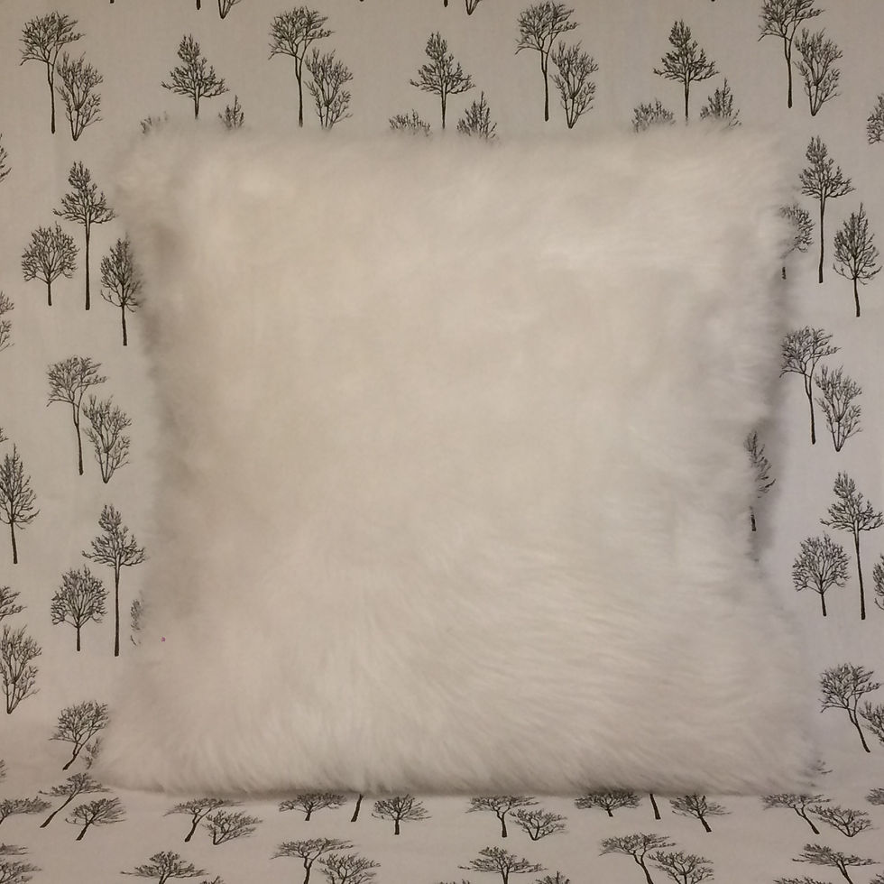 Miniatura: Almohadón Bera