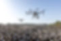 agriculture-4208863.jpg