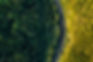 road-4564817.jpg