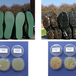 Article on biosecurity published in Landbouwleven Magazine (October/ 2025)