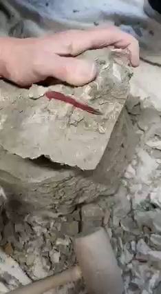 04 - 5 VIDEO RECUPERO ARGILLA.mp4
