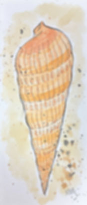 Auger Shell