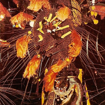 tribal, psychedelic art, tiger, costume