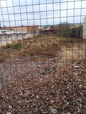 Moradora reclama de acúmulo de lixo em terreno baldio no Parque Flamingo