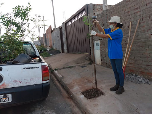 Projeto Arvorear atende mais 11 moradores que agendaram plantio gratuito