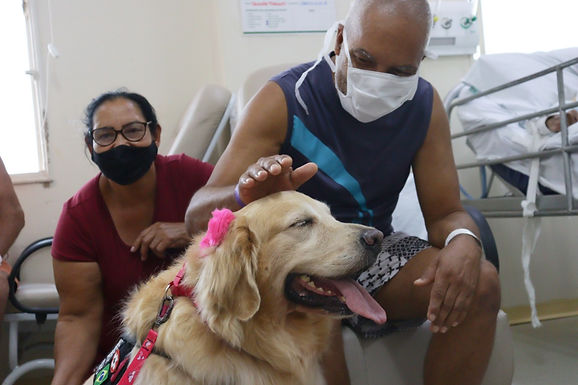 Com cachorrinha Lessie, projeto Cãoterapia é iniciado no Hospital Emílio Carlos e HCC