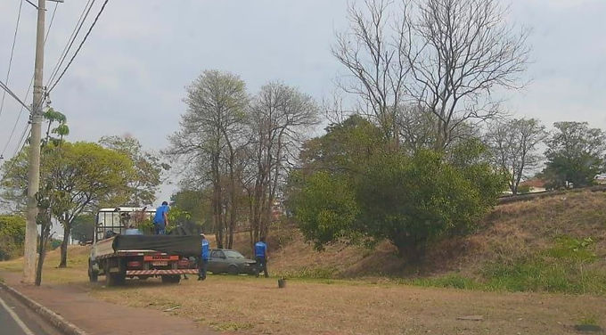 Prefeitura inicia projeto piloto de floresta urbana na Avenida Theodoro