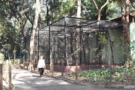 Zoológico de Catanduva participa de programação online de férias com mais de 20 instituições