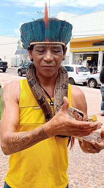 Índios da aldeia Bacururu comercializam ervas e plantas medicinais em Catanduva