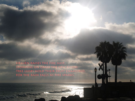 13 CLOUD TREE RAIN.jpg