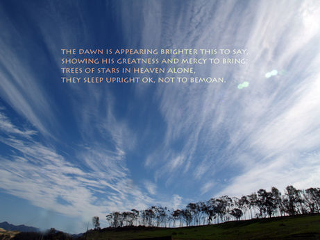 4 CLOUD TREES DAWN.jpg