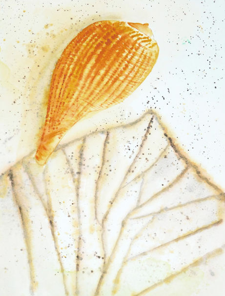 115 SJW HOPE HURRIES TO BEG.jpg