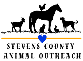 SCAO LOGO Color No background.png