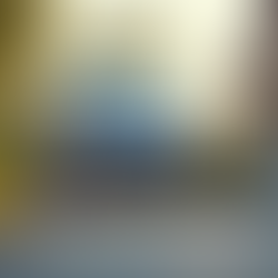 Mobile Car Detailing in the Bay Area: What Sets Mobile Waterless Details Apart