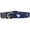 Thumbnail: South Carolina Dog Collar