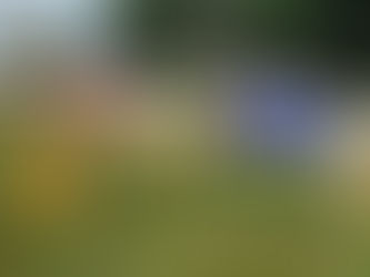 Главный информационный портал жителей муниципальных образований субъектов РФ «ОКОЛИЦА»