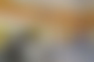 «Столото» объявило конкурс грантов для НКО