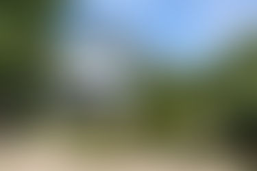 Федеральный проект «Декада зрелого возраста»