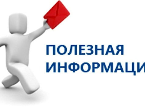 Представители НКО могут подать заявку на участие в новом составе Общественной палаты РФ