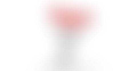 Анонс информационной встречи на тему: «Юридические аспекты планирования деятельности НКО»