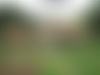 Christmas Greetings from Morning Star!