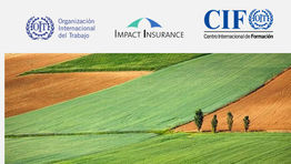 SEGUROS PARA EL DESARROLLO