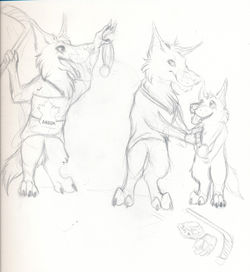 US vs Canada Wolves (Large)