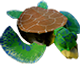 Turtle.png