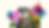 Untitled (Website) (2).png