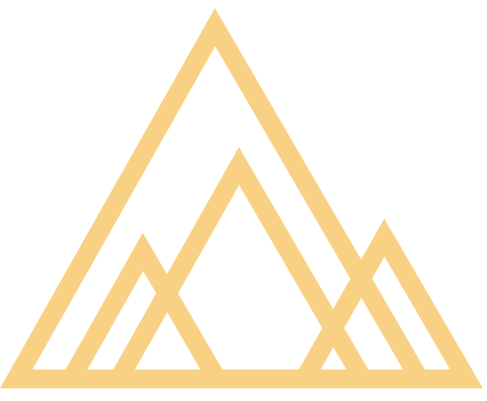 Rebel Training Group logo