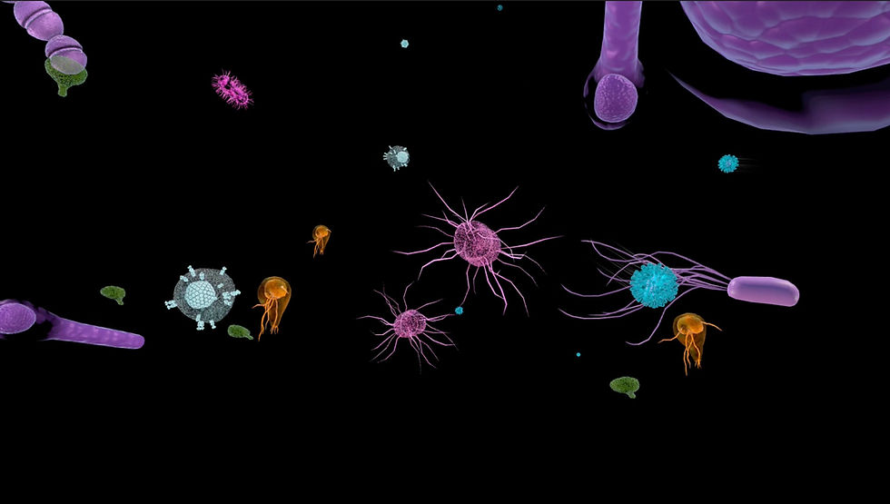 Image 1-14-26 at 2.10 PM.jpeg