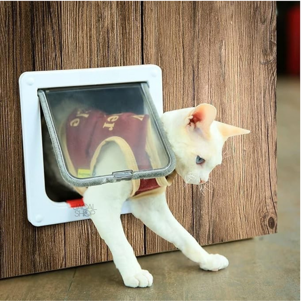 Thumbnail: Pet Door [HW-PL-01]