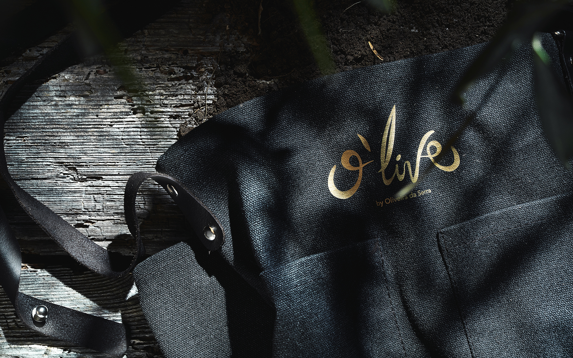 Olive