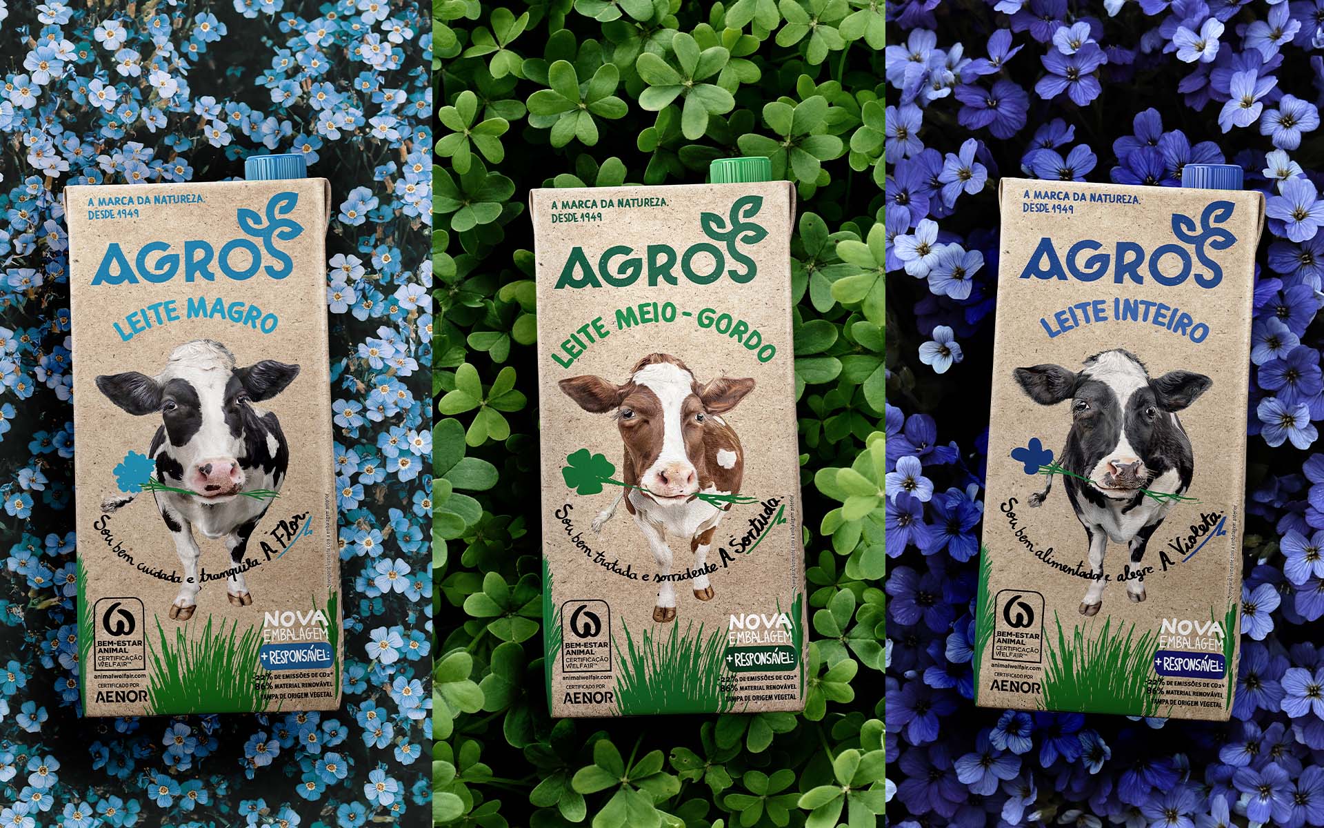 AGROS - Cow Packaging Design