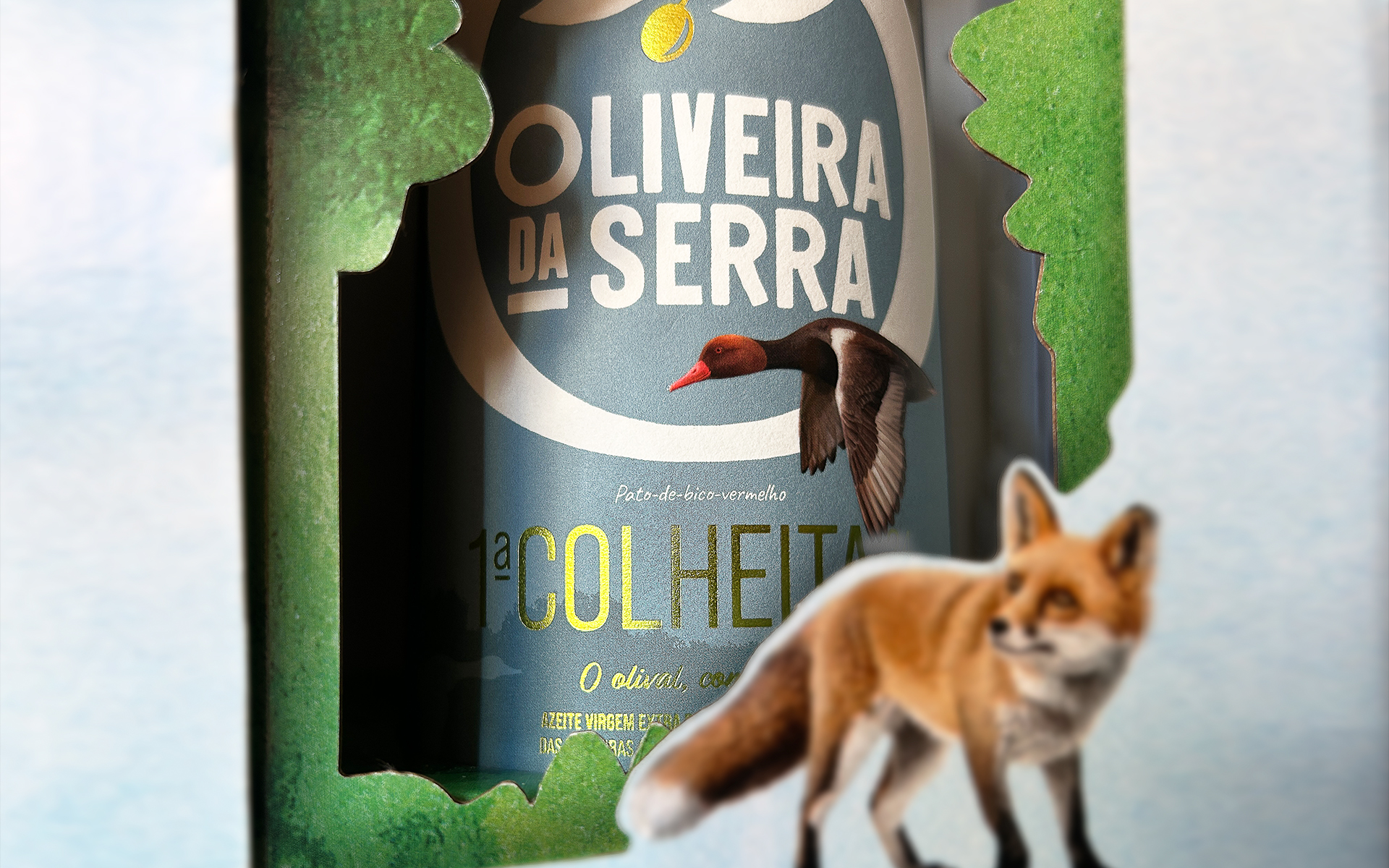 OLIVEIRA - 24 25