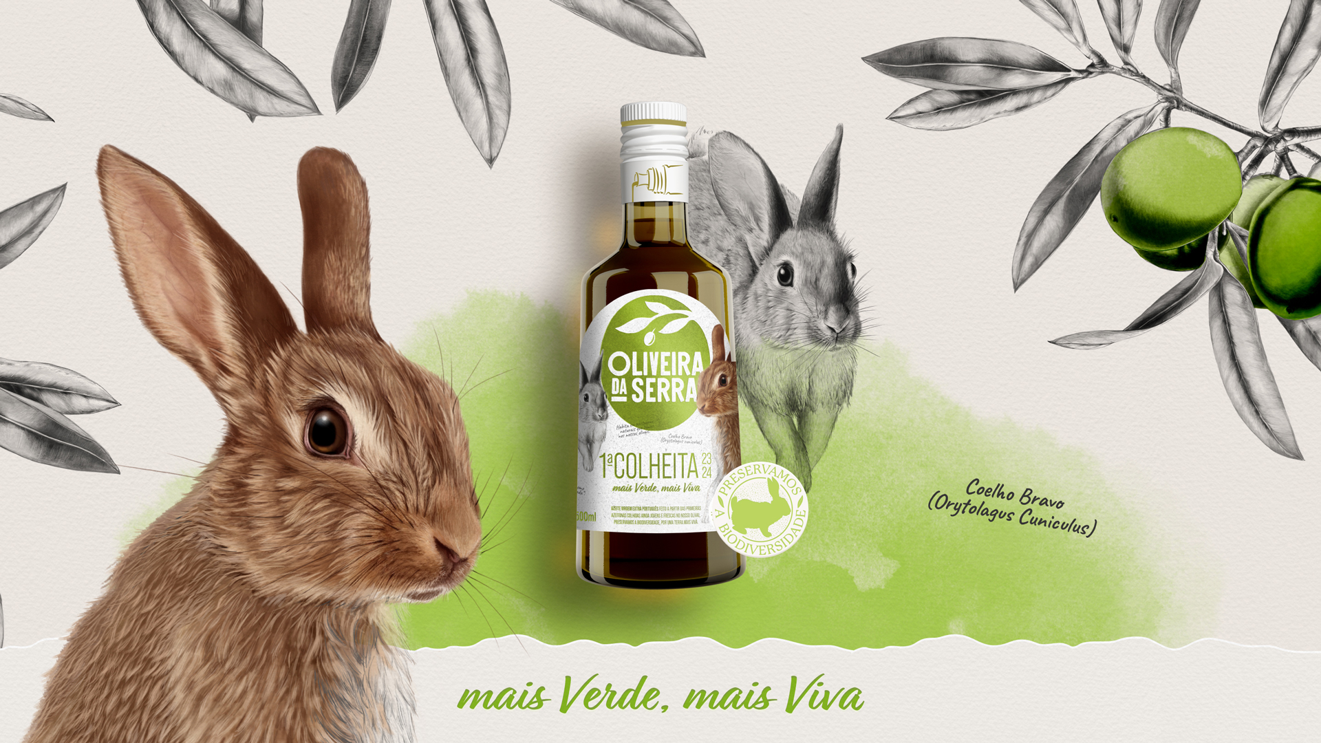 OLIVEIRA - 23 24