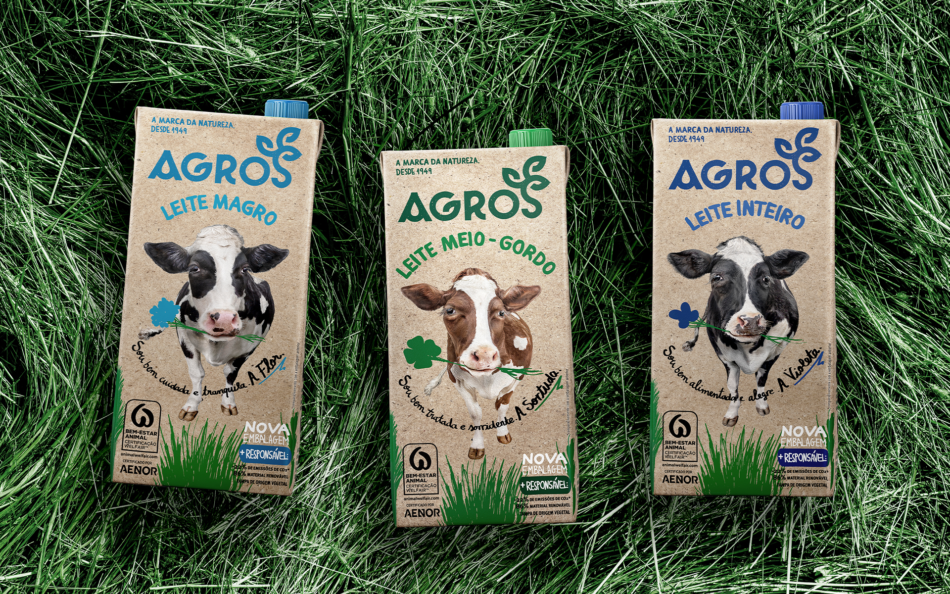 AGROS - Cow Packaging Design