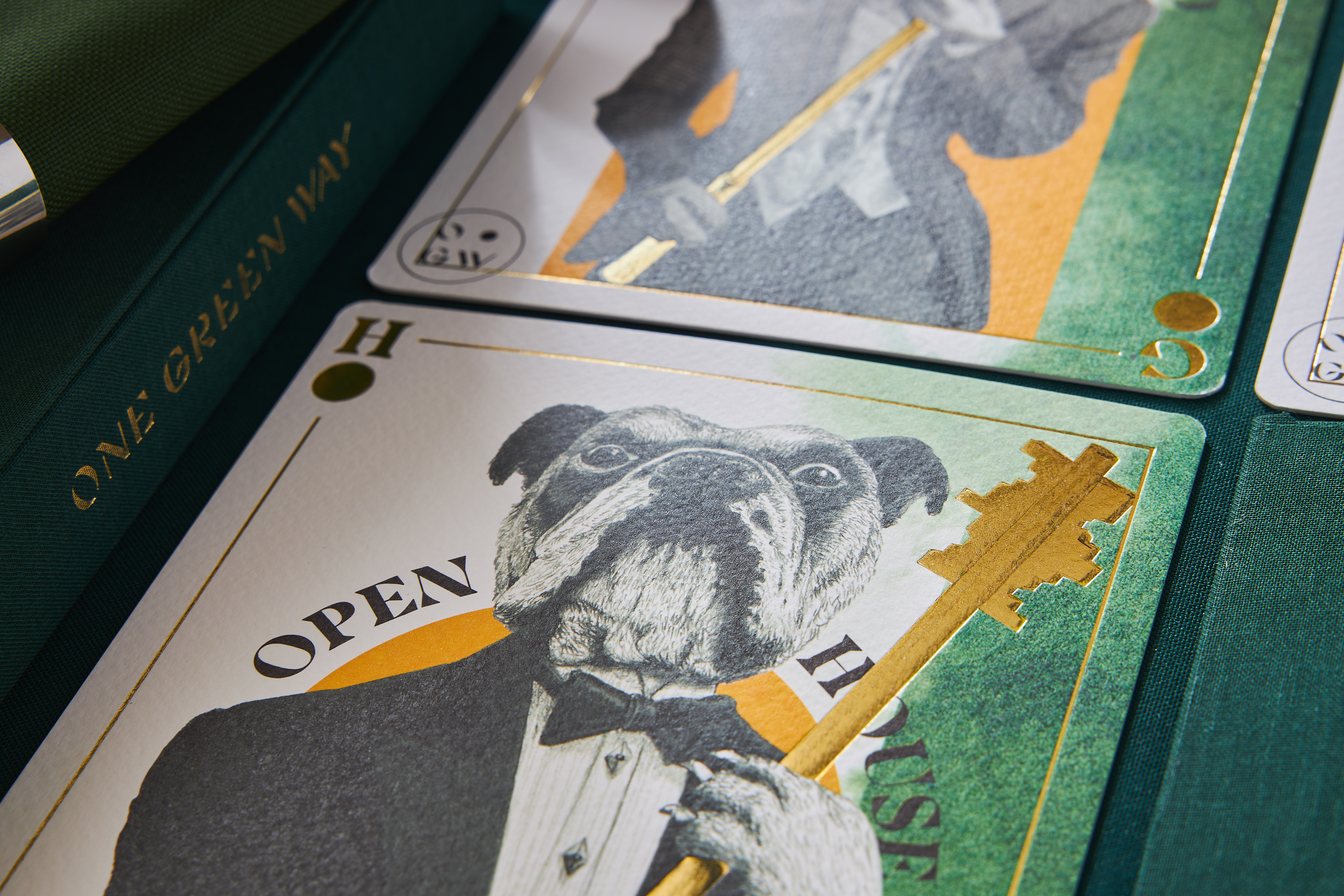 OGW