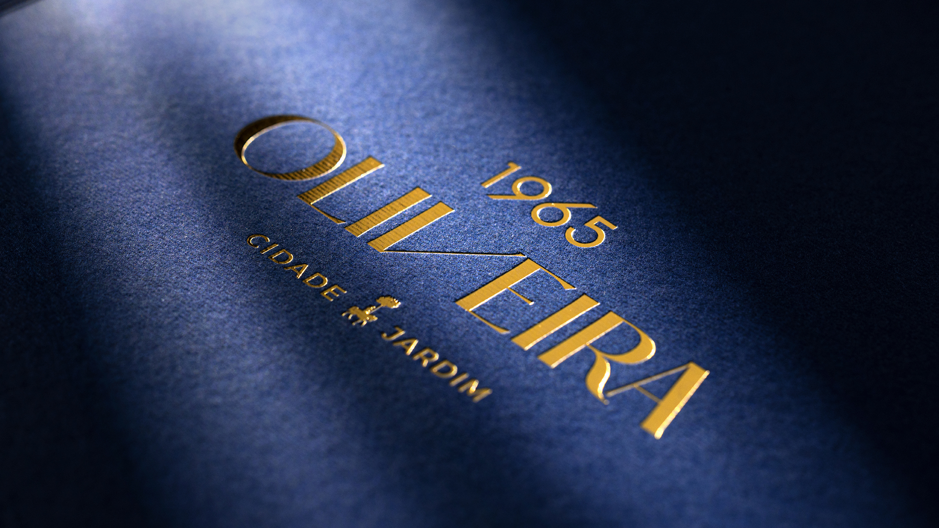 AM48 - Oliveira