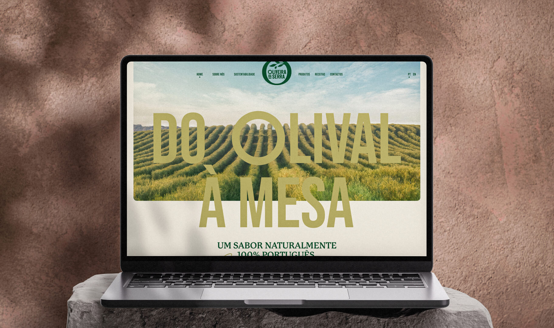 OS - Site 2025