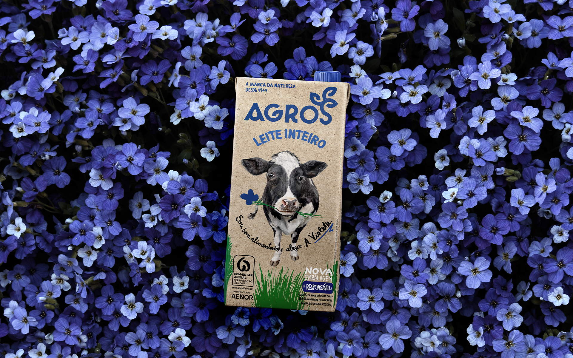 AGROS - Cow Packaging Design