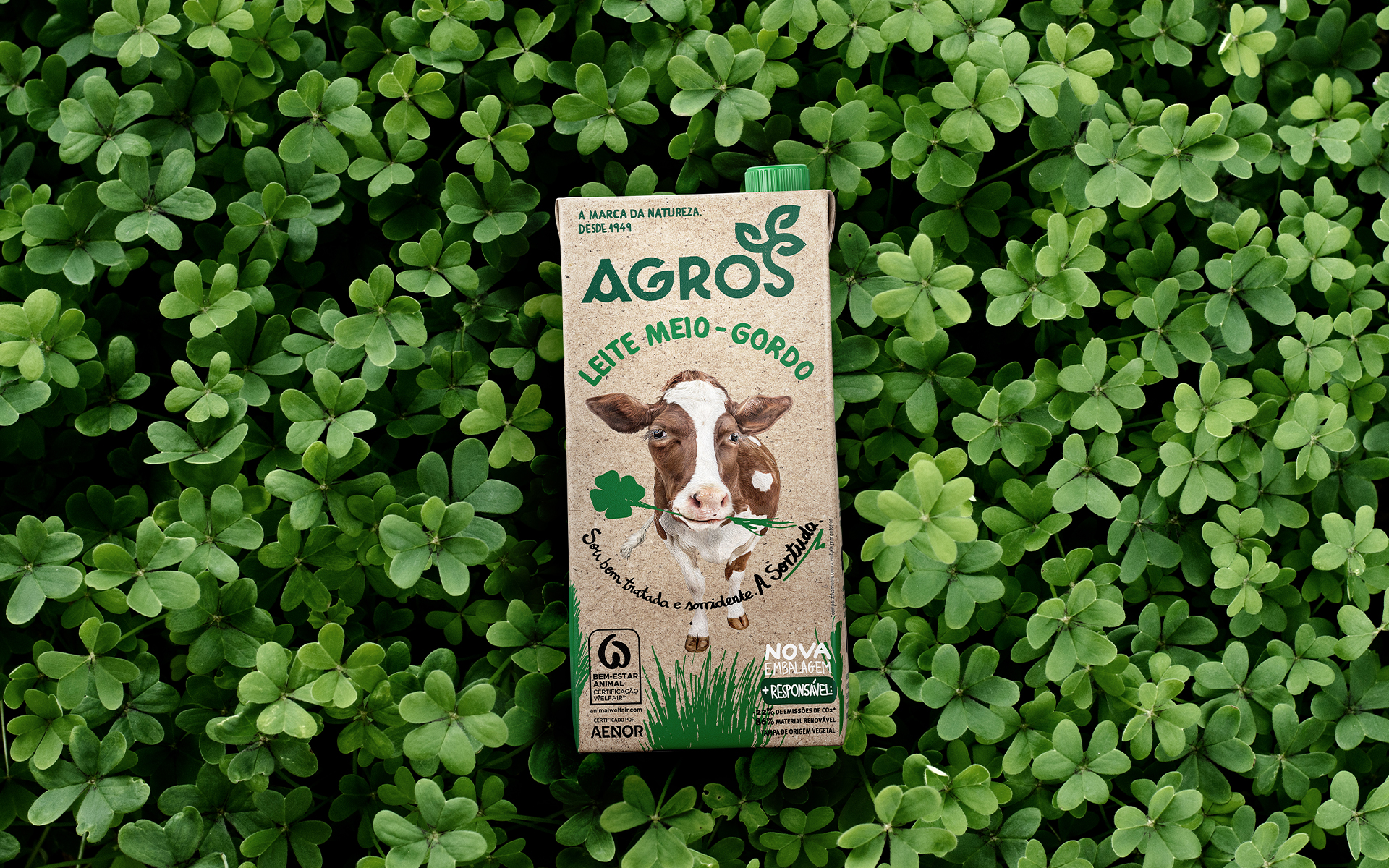 AGROS - Cow Packaging Design