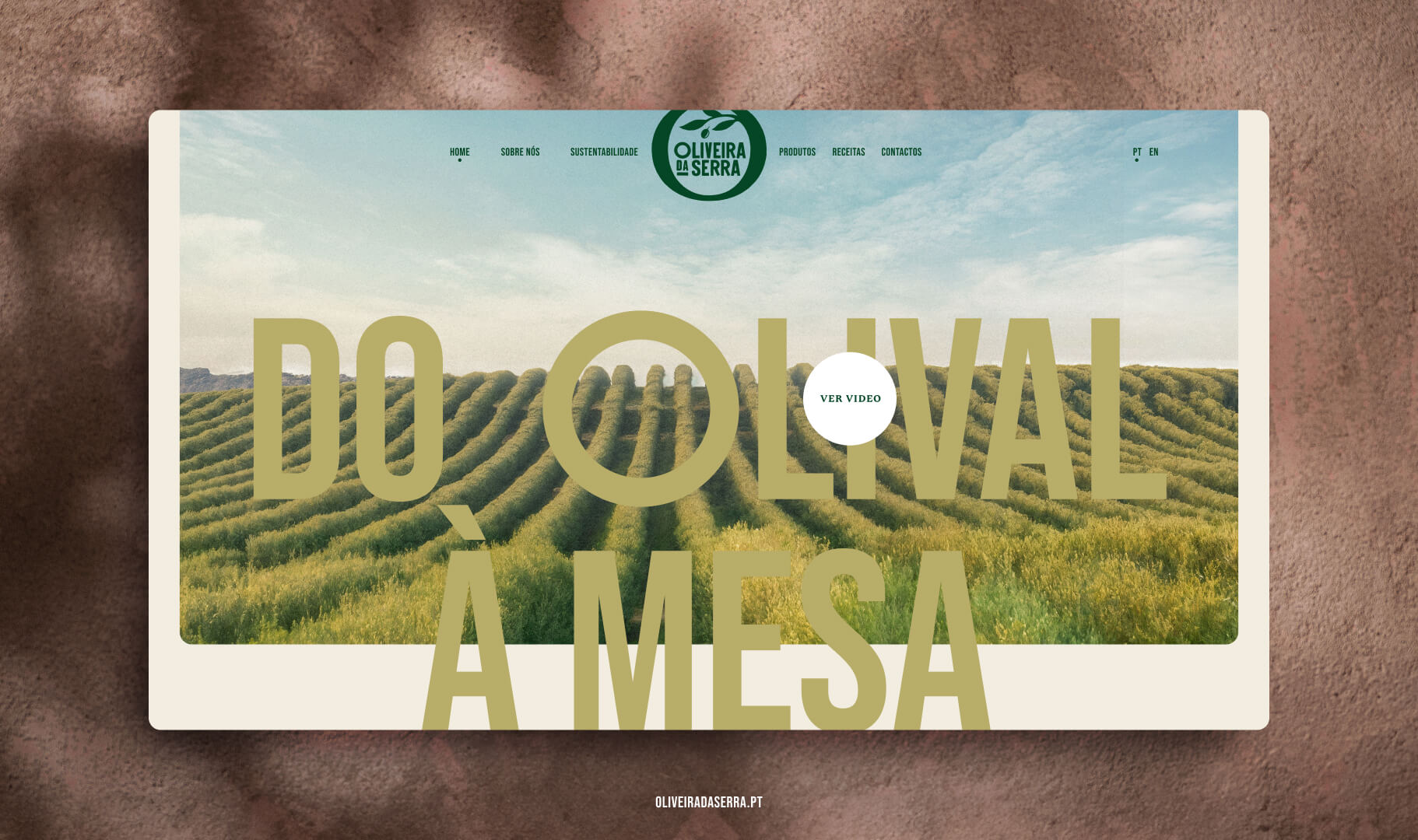 OS - Site 2025