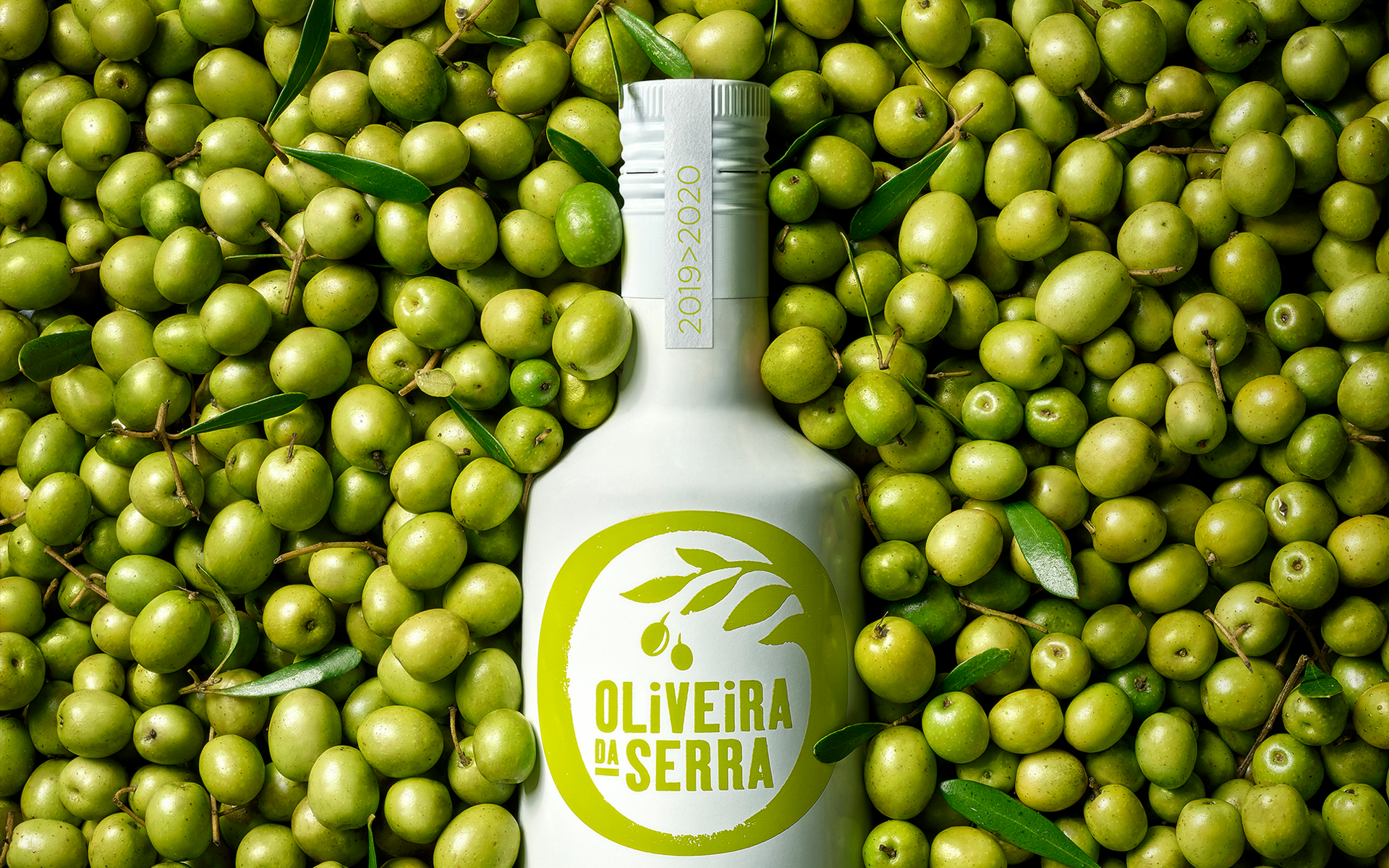 OLIVEIRA - 19 20