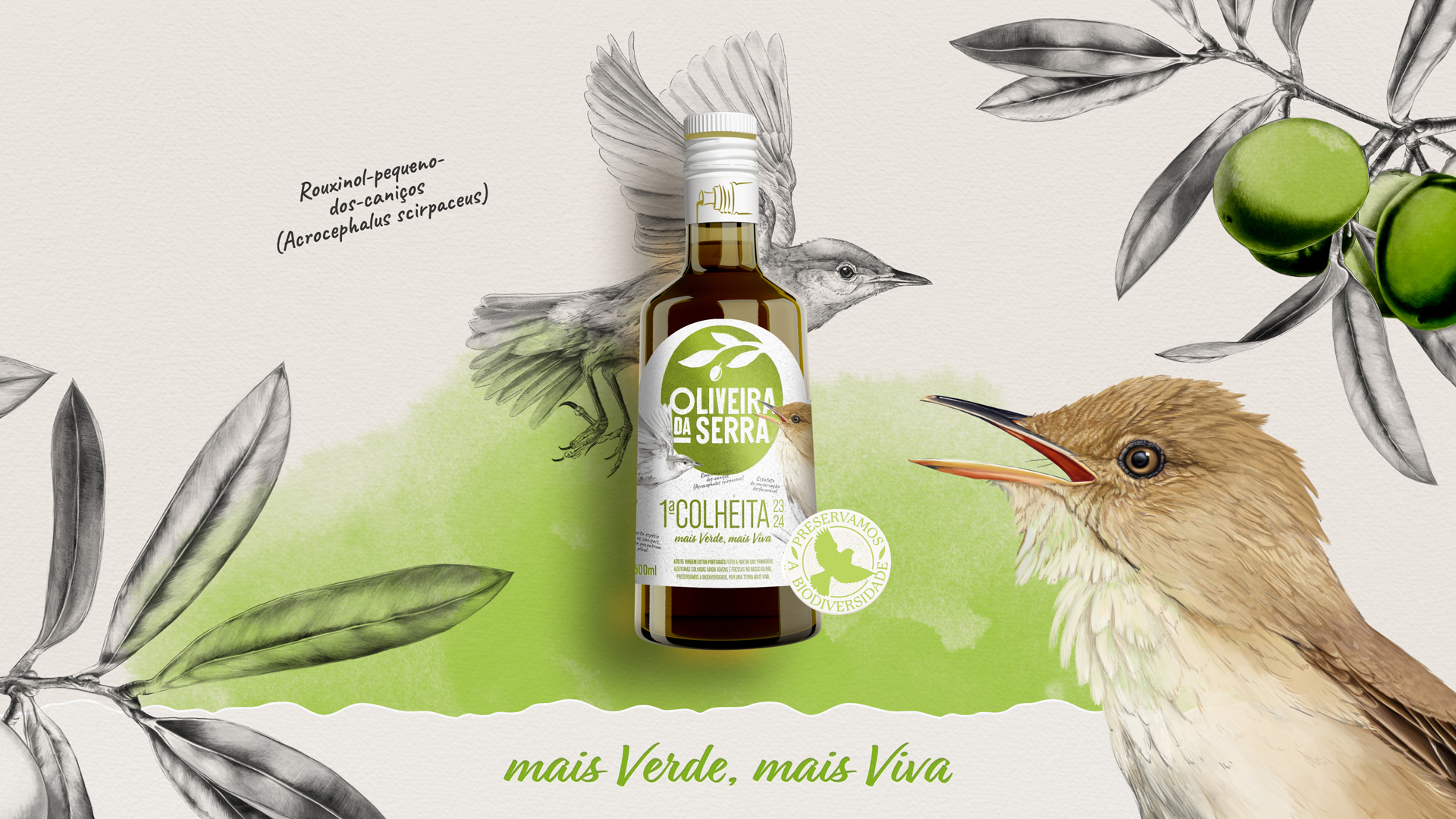 OLIVEIRA - 23 24