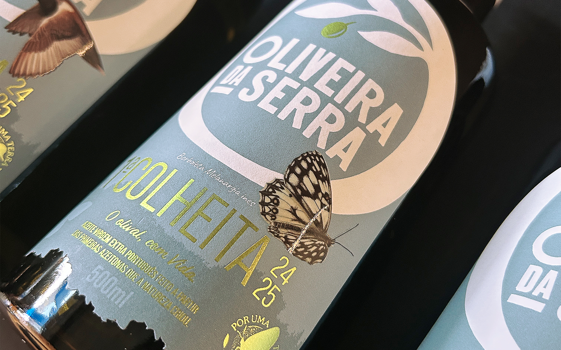 OLIVEIRA - 24 25