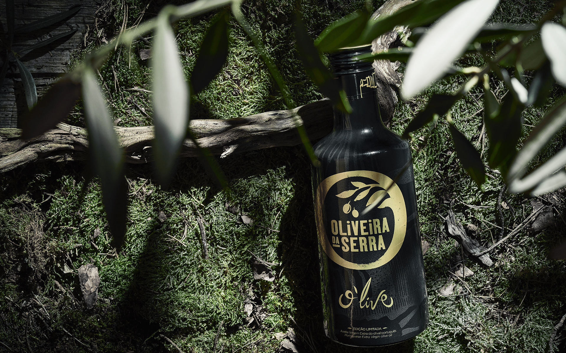 Olive