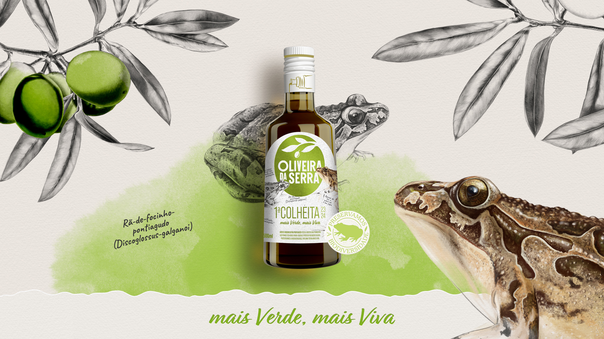 OLIVEIRA - 23 24