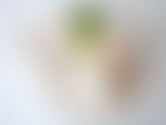 Beyond basic prints: exploring fabric printing types to elevate your creations